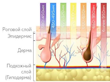 Элос.jpg