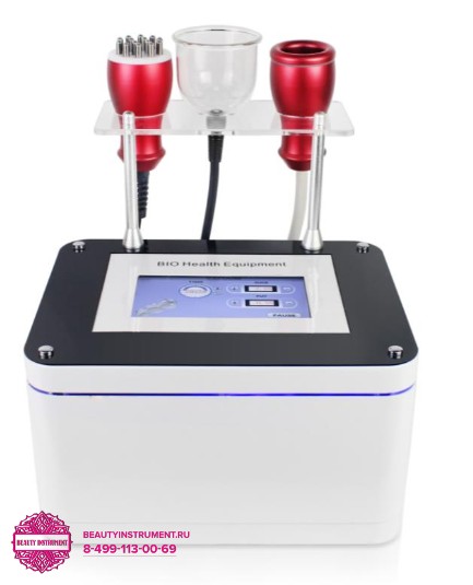 Очное обучение /скайп1 BIO-301