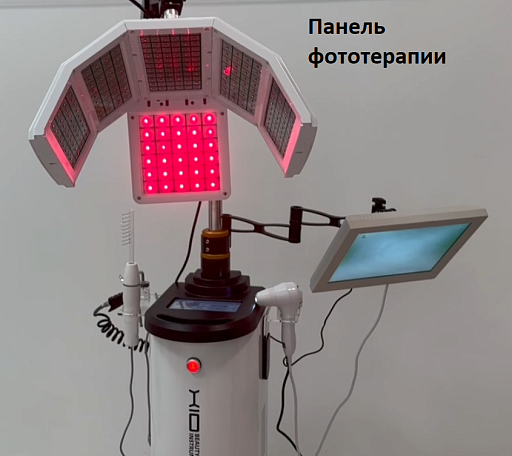 Купить Аппарат фотодинамической процедуры для роста волос и оздоровления кожи головы  FR-OM03 по цене 