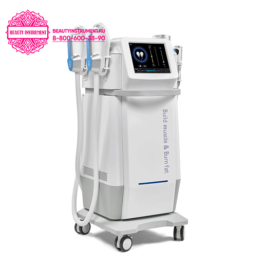 Купить Аппарат 2 в 1: C50 Массаж сферами (роликовый массаж) + Электромагнитная стимуляция EMS по цене