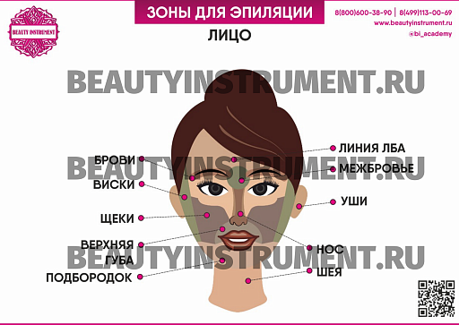 Купить Плакат А3 для косметолога "Зоны для эпиляции лицо" по цене 
