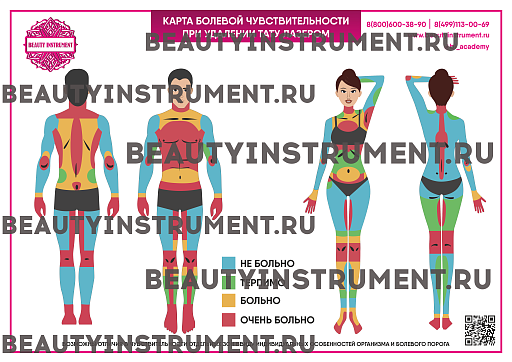 Купить Плакат А3 для косметолога "Карта болевой чувствительности при удалении тату лазером" по цене 
