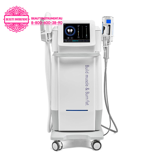 Купить Аппарат 2 в 1: C50 Массаж сферами (роликовый массаж) + Электромагнитная стимуляция EMS по цене