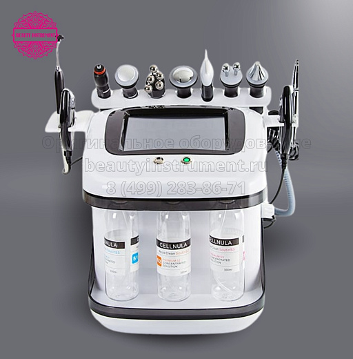 Купить Косметологический комбайн 10 в 1: H10-1 по цене 
