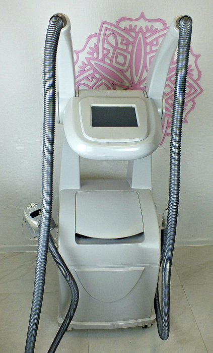 Купить Очное обучение Perfect P-1000 по цене 